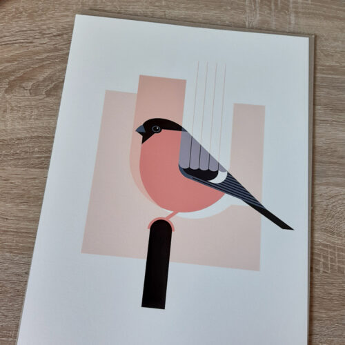 Bullfinch illustration print