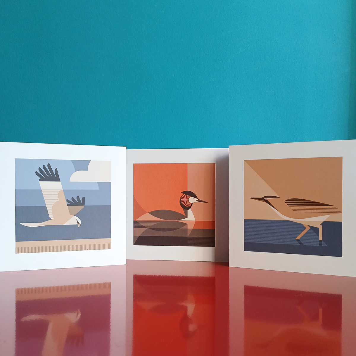 Norfolk bird illustration cards