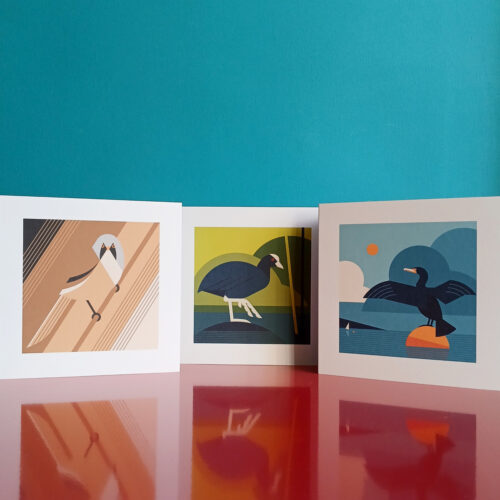 Norfolk bird illustration cards