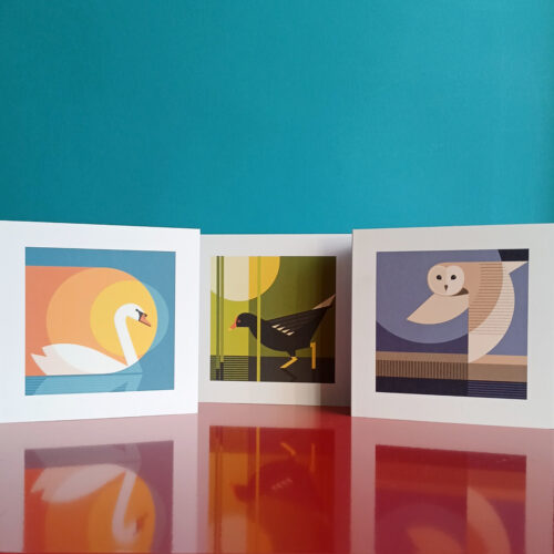 Norfolk bird illustration cards