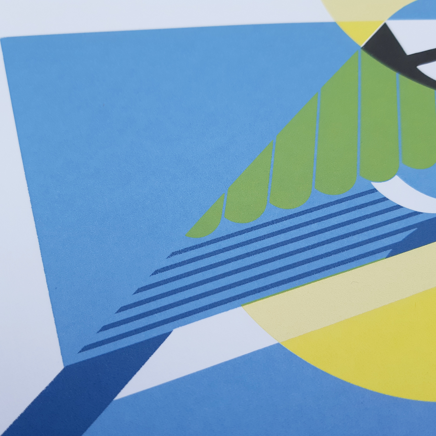Blue tit screen print