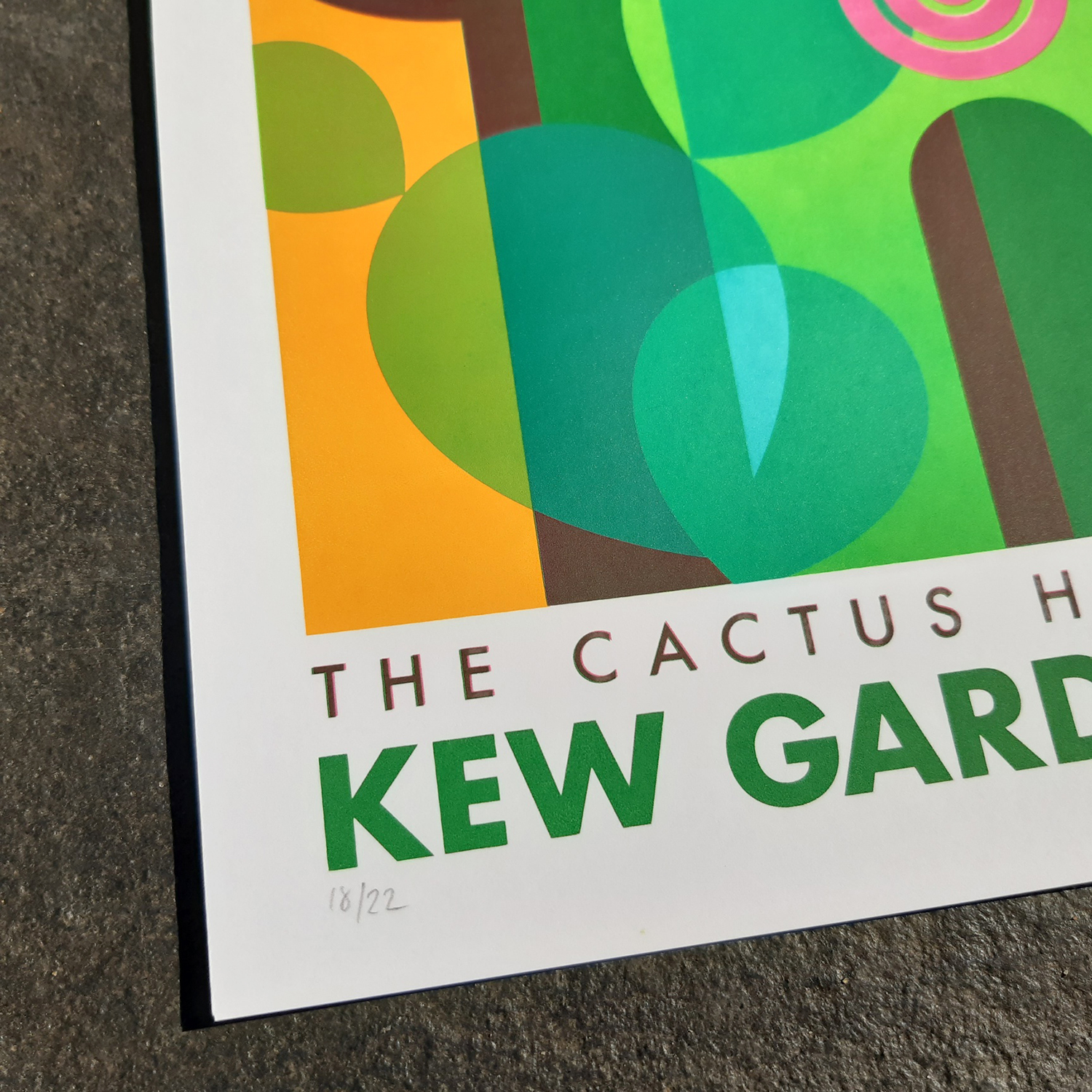 Cactus House screen print - Image 5