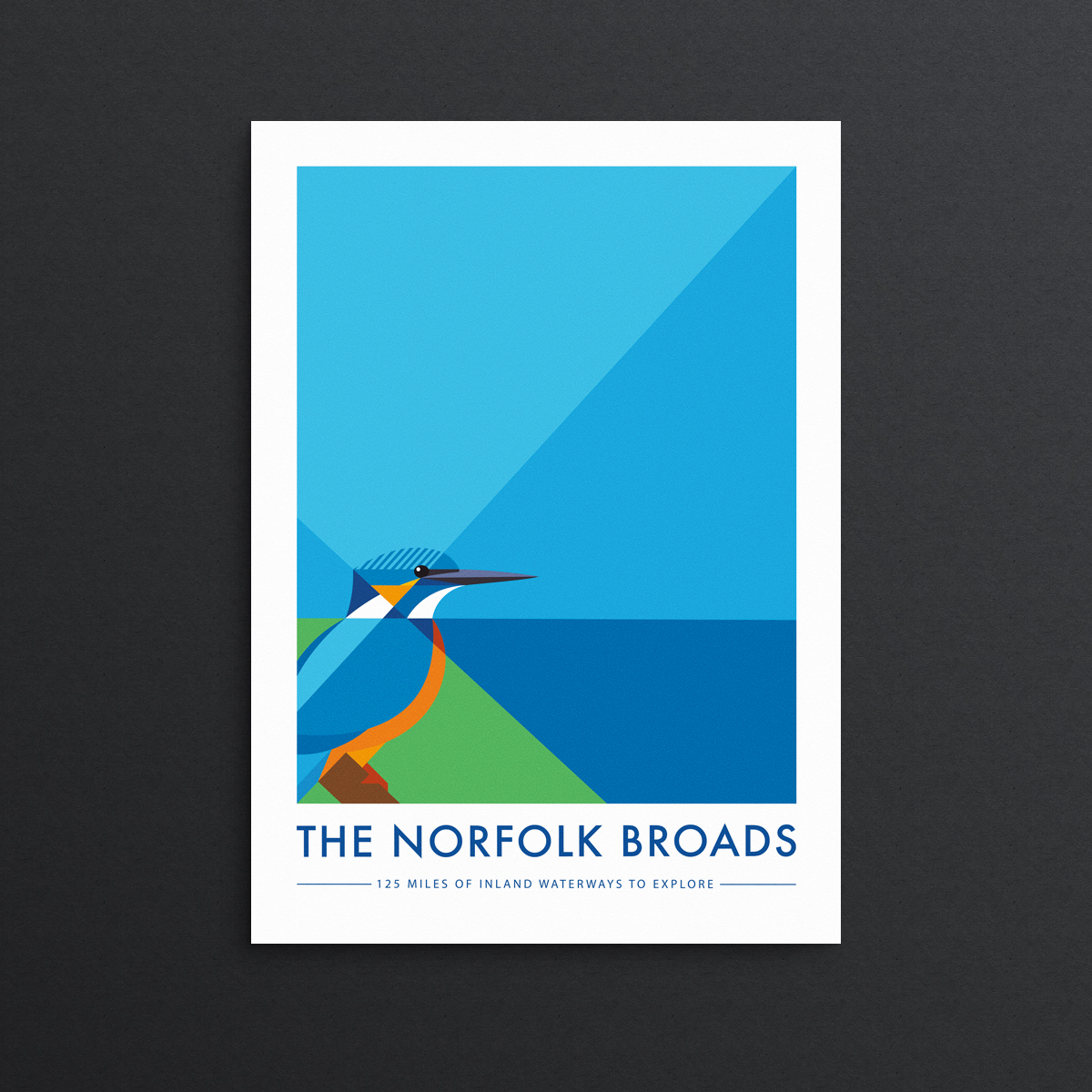 Kingfisher Norfolk Print