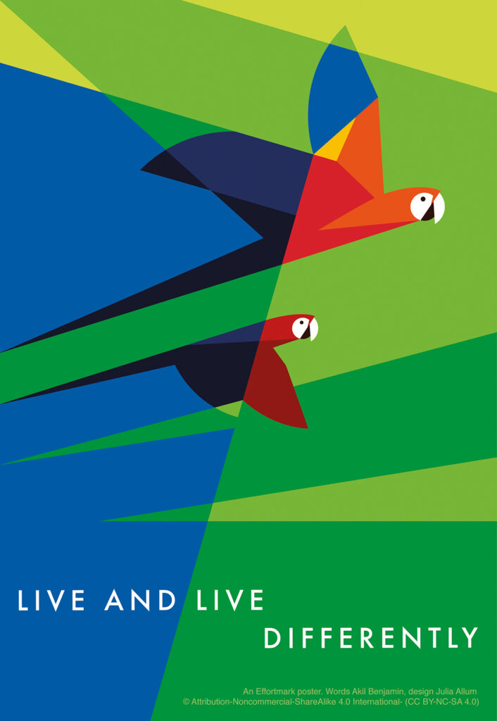 Flying Macaws illustration