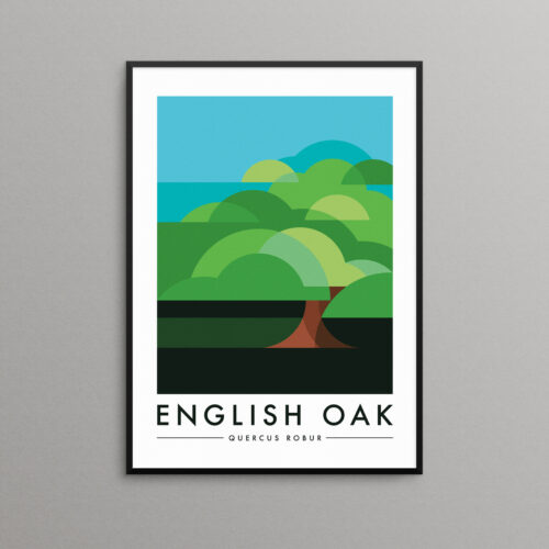 English Oak Tree Print