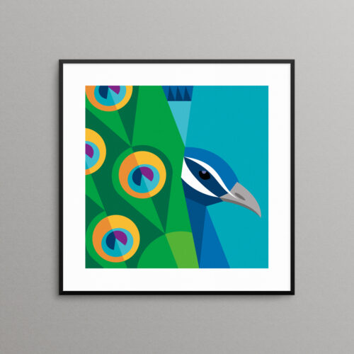 Peacock illustration print
