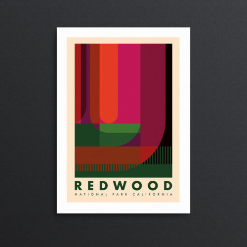 Redwood National Park Print