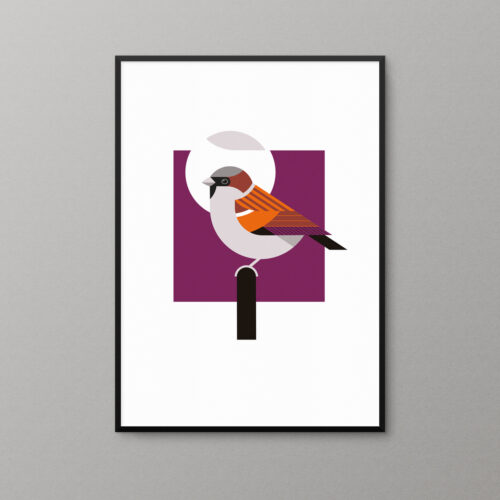 Sparrow