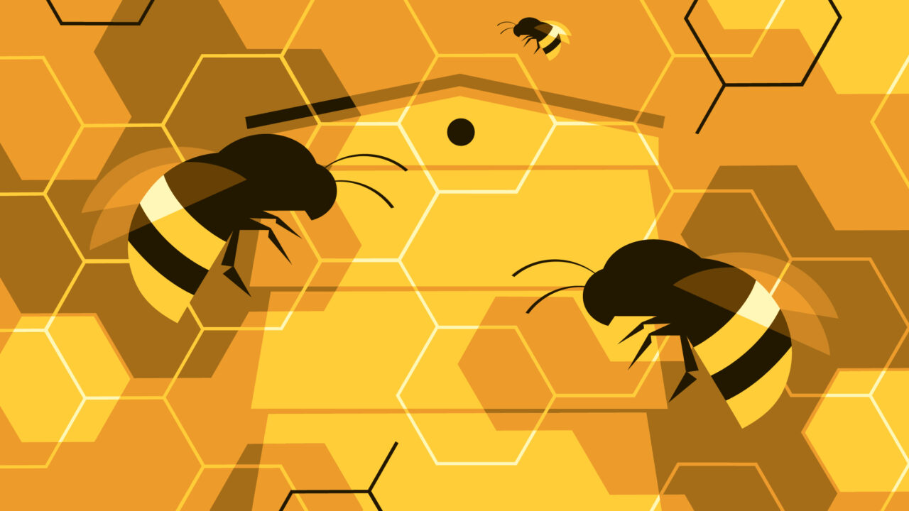 teamwork beehive illustration for Harvard Business Review