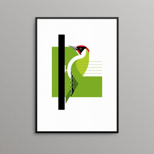 Green Woodpecker illustration print