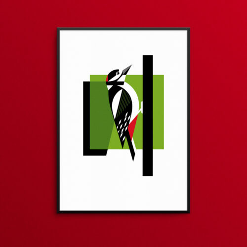 Great Spotted Woodpecker illustration print
