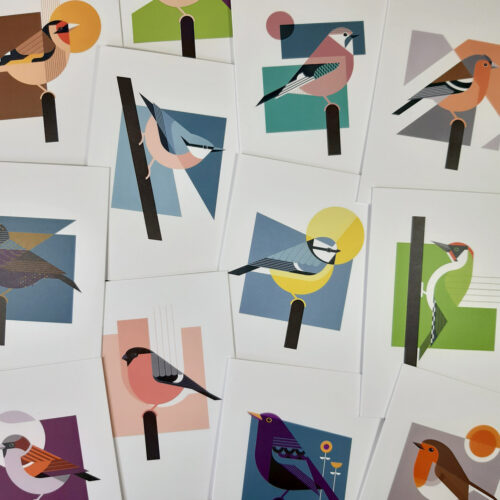 Bird greeting cards