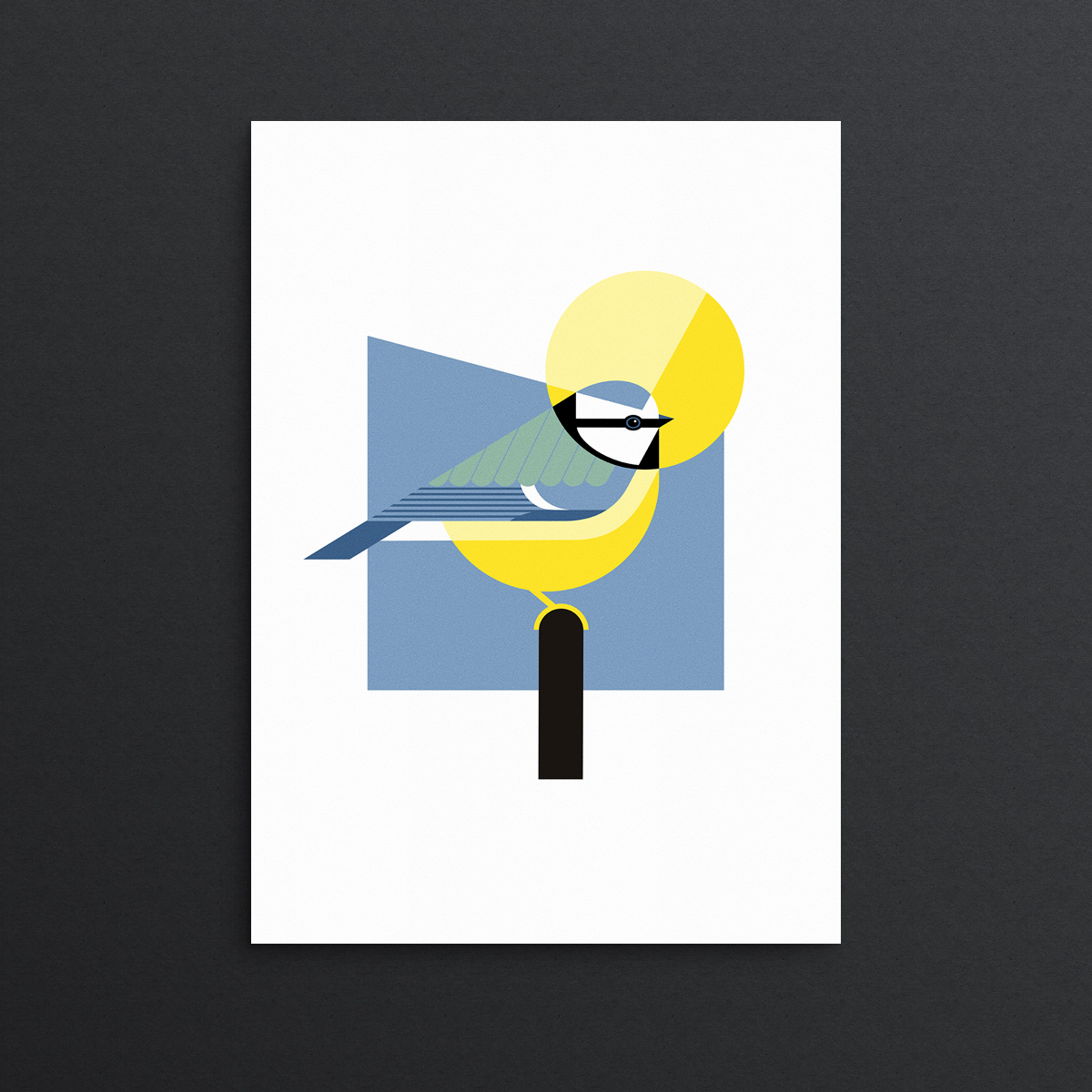 Blue tit illustration print