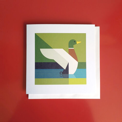Mallard illustration greetings card
