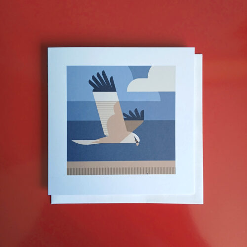 Marsh Harrier illustration greetings card