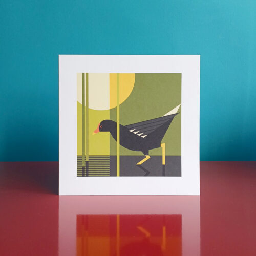Moorhen illustration greetings card