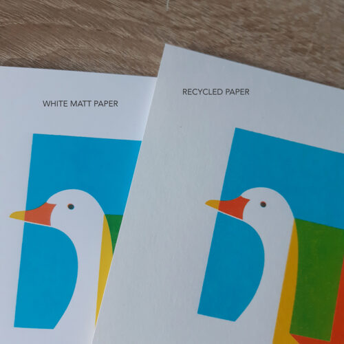 Duck screen print