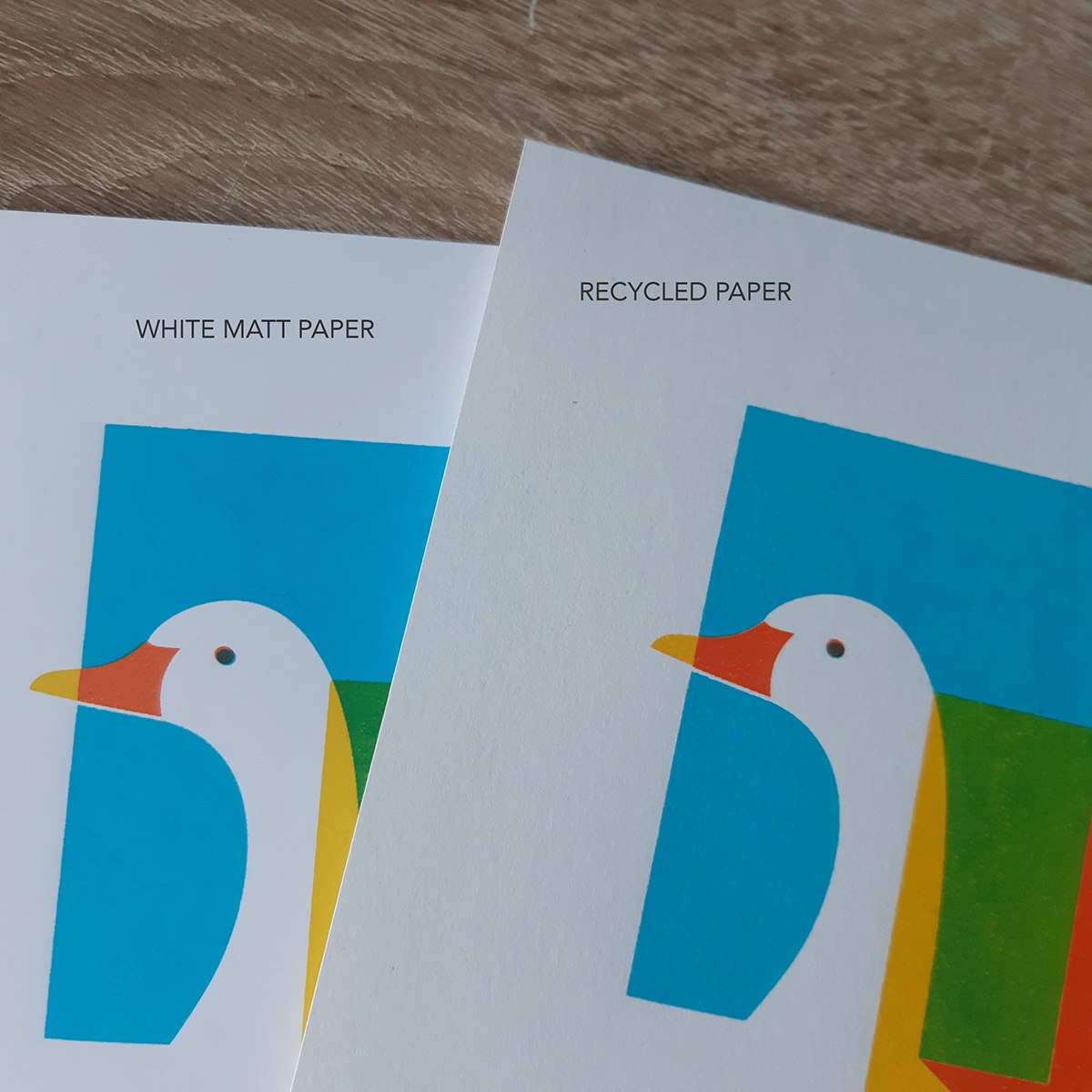 Duck screen print